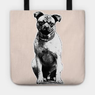 Dog sitting Tote