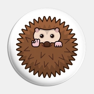 Hedgehog Peace Pin