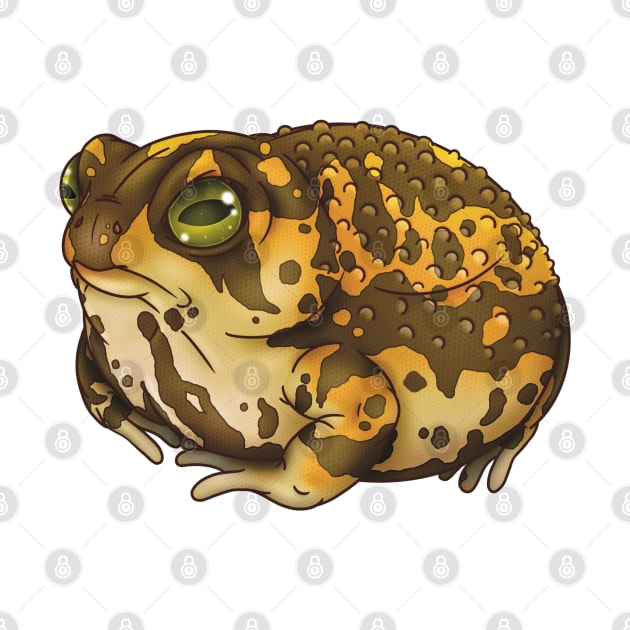 Desert Rain Frog by GothamGeckos