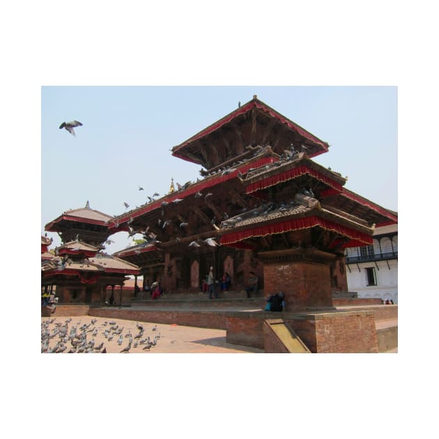 Kathmandu Temple Pigeons by JohnDalkin