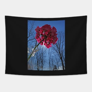 Pushing Spring Tapestry