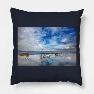 The Sound of Silence Pillow