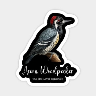 Acorn Woodpecker - The Bird Lover Collection Magnet