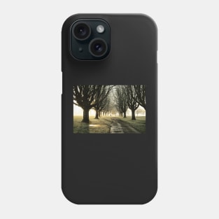 Llandaff Fields#7 Phone Case