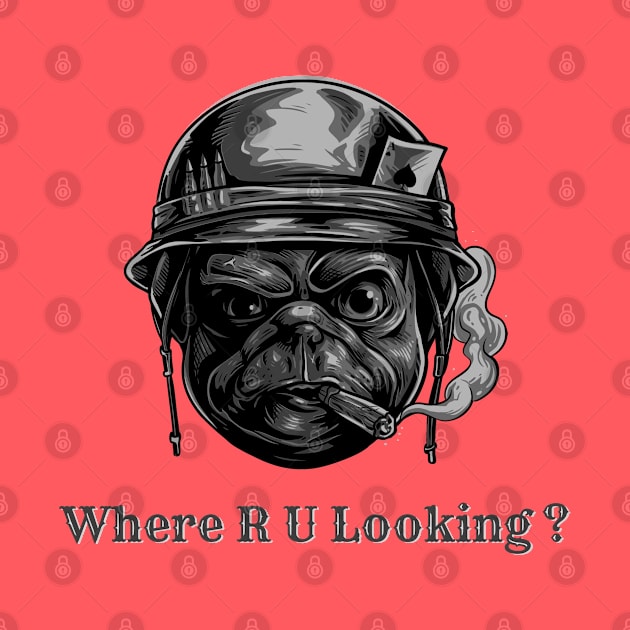 Where are you looking by Octagon