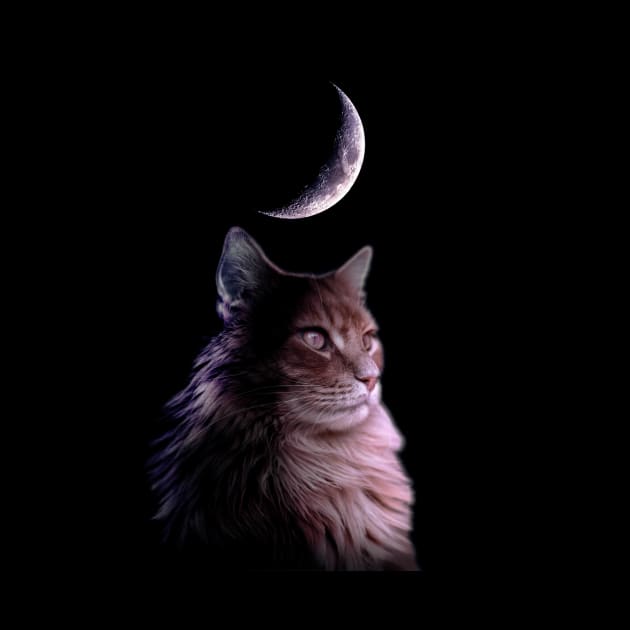 Moon Cat by Random Galaxy