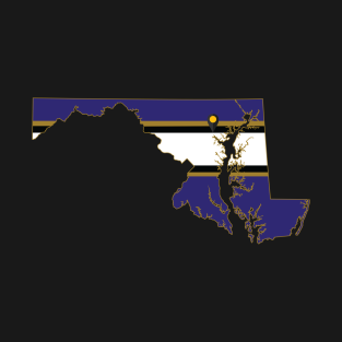 Ravens T-Shirt - Baltimore Football by doctorheadly