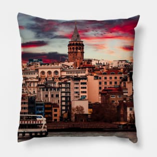 City View Pillow