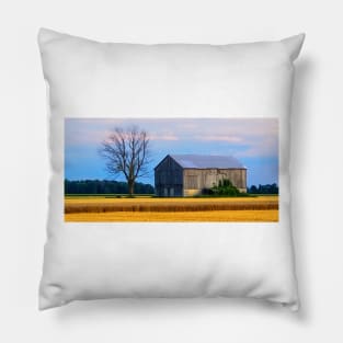 Dead Tree and Barn Pillow