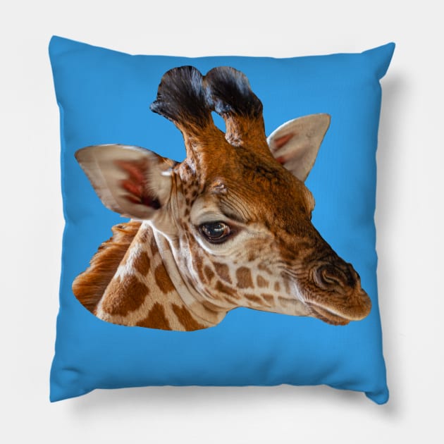 Baby Giraffe head Pillow by dalyndigaital2@gmail.com