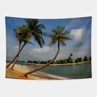 Tropical Relaxation Tapestry