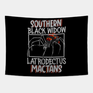 Southern black widow Tapestry