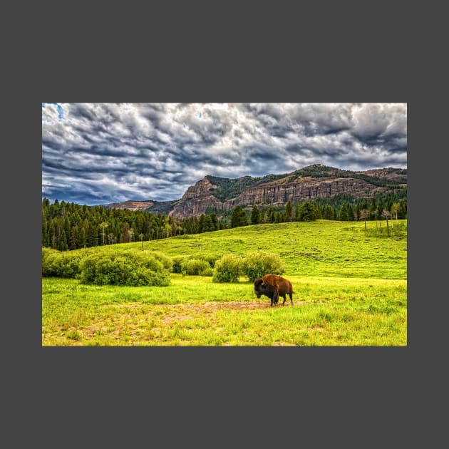 09551  Bison in Yellowstone by Gestalt Imagery