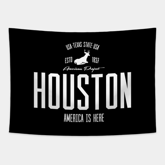 USA, America, Houston, Texas Tapestry by NEFT PROJECT