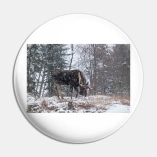 Moose in a snow storm Pin