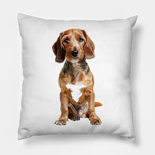 Basset Fauve de Bretagne Pillow