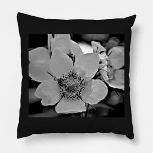 Glacier National Park Wild Flowers, black and white2 Pillow