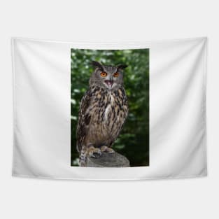 Eurasian Eagle-Owl Tapestry