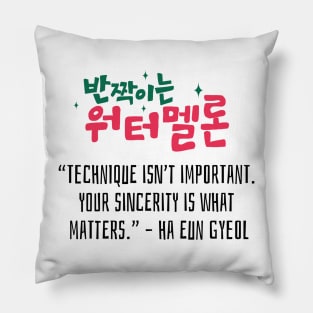 Twinkling Watermelon Korean Drama Quote Pillow