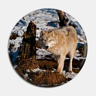 Arctic Wolf Pin