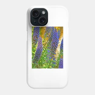 jardim da regaleira Phone Case