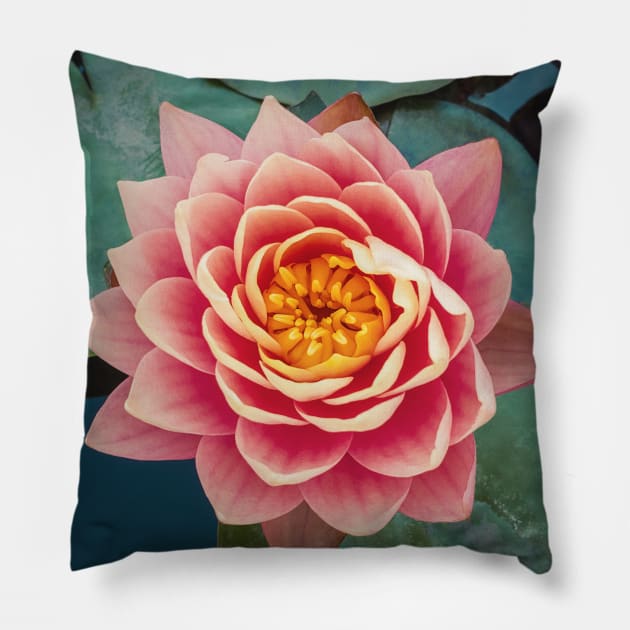 pink water lily Pillow by psychoshadow