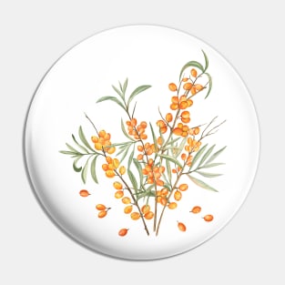 Sea Buckthorn Watercolor Illustration Pin