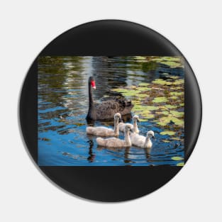 Swan Family In Formation Pin