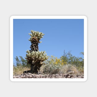 Cactus and Yellow Flowers in the rocky Desert Magnet