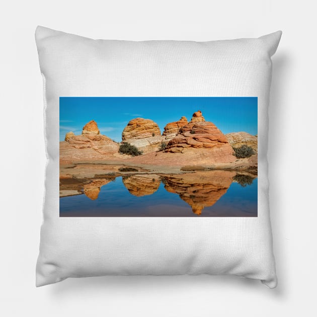 Waterhole at the Wave Pillow by jforno