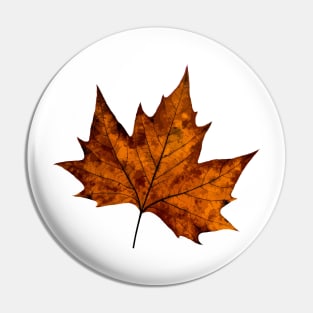 Maple Autumn Leaves Pin