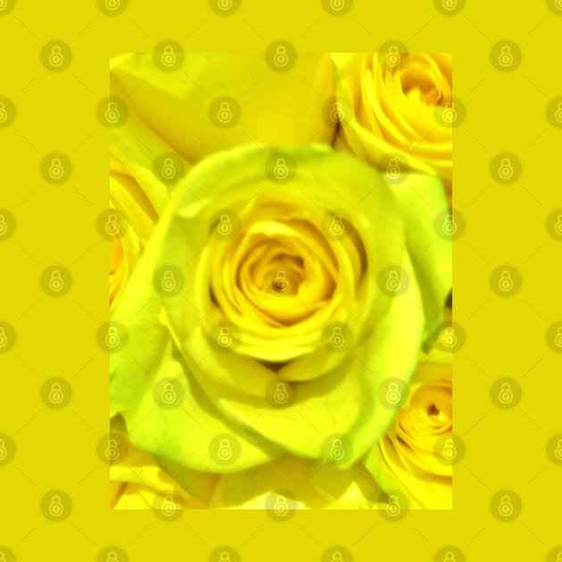 Gift for a Friend, Yellow Rose Floral Display The flower of Friendship - Autumn Bouquet - Flowers by Ric1926