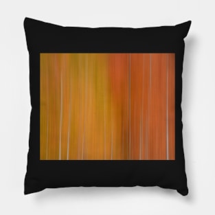 Autumn in Abstract 2 Pillow