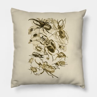 Coleoptera Beetles and Weevils J Mayson Ochre Pillow