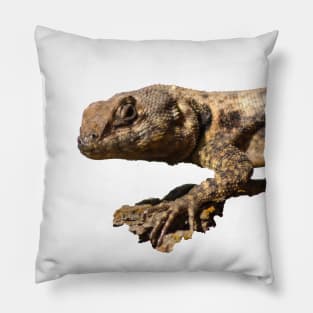 lizard Pillow