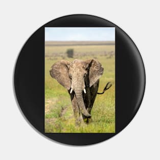 Elephant on the Serengeti, Tanzania Pin