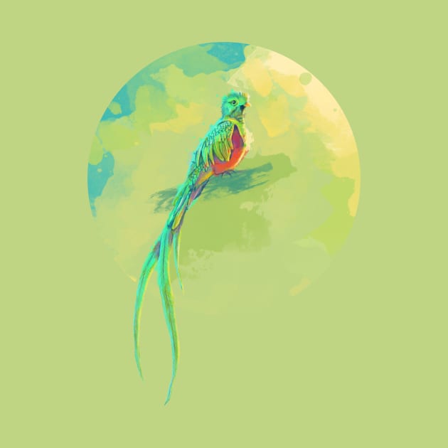 Resplendent Quetzal - digital bird illustration by Flo Art Studio