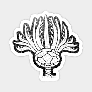 Crinoids Magnet