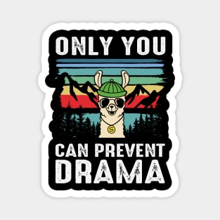 Only You Can Prevent Drama Magnet