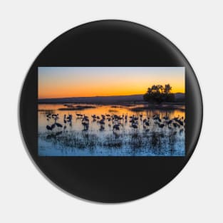 Glorious Sunset Pin