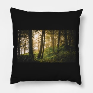 Deep in the woods during sunset Pillow