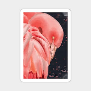 flamingo portrait Magnet