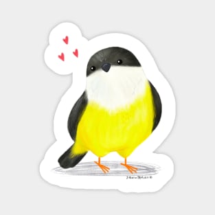 White Collared Manakin Bird in love Magnet