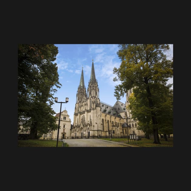 Wenceslas Cathedral in Olomouc, Czech Republic by mitzobs