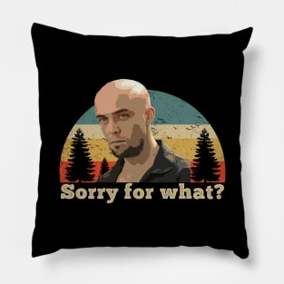 Sorry for what? Vintage Pillow