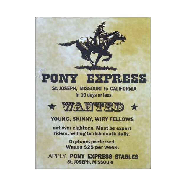 Pony Express by motredlac 