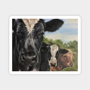 Three Amigos cow painting Magnet