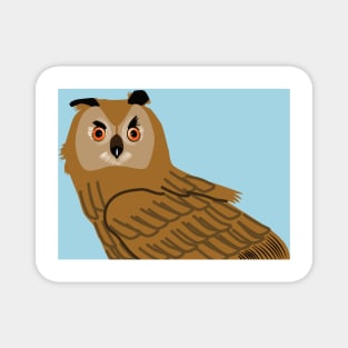 Owl, bird of prey Magnet