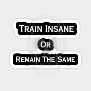 Train Insane Or Remain The Same Magnet