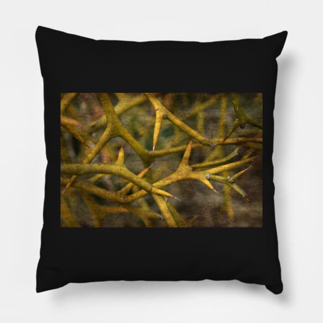 The Creepy World Of Thorns Pillow by AlexaZari